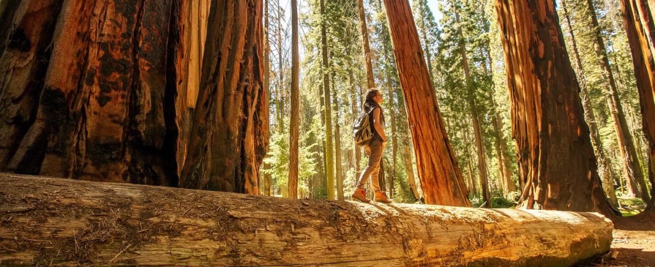 most beautiful national parks in the US most beautiful national parks in the US