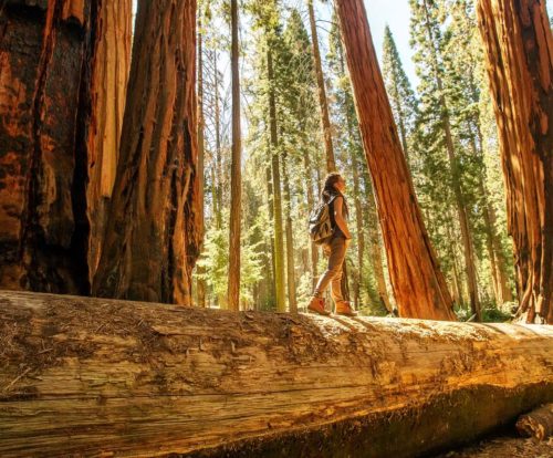 most beautiful national parks in the US