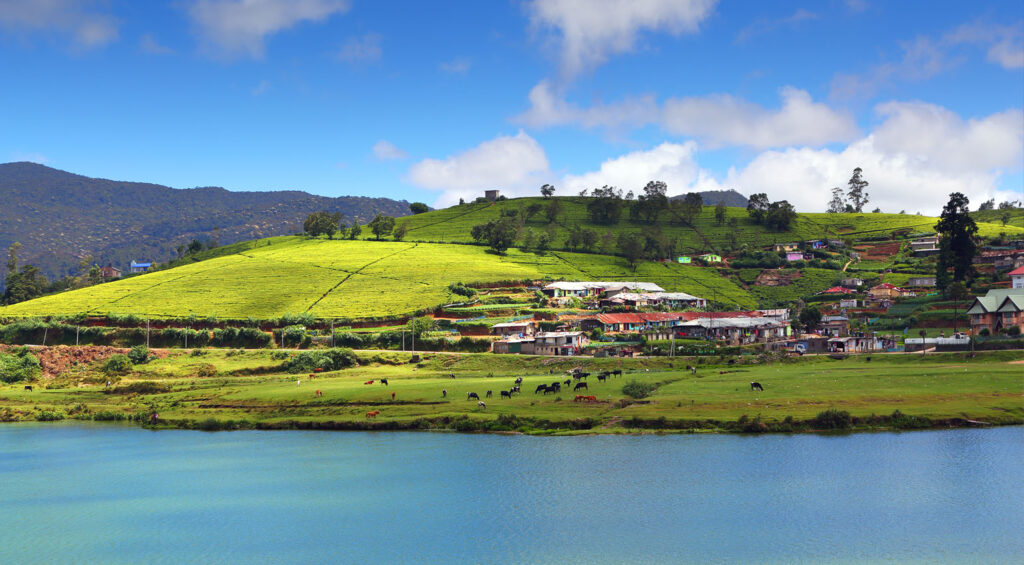 Best Places to Visit in Sri Lanka - Nuwara Eliya