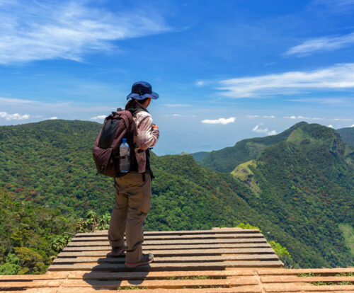 Pekoe Trail