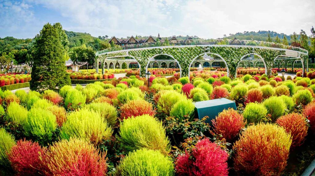 Everland, South Korea
