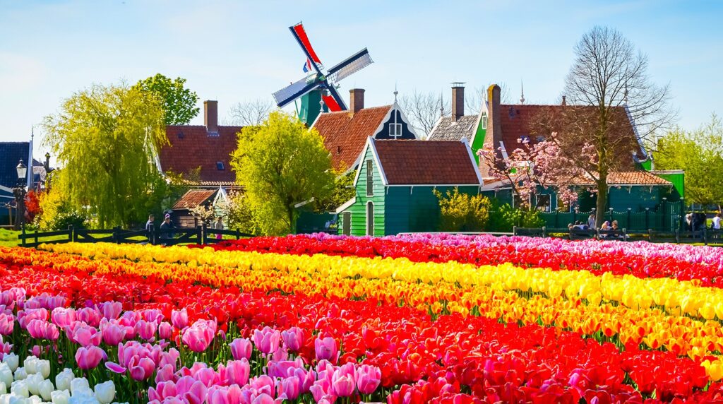 Amsterdam-Netherlands