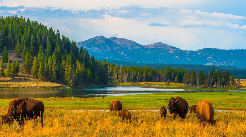 Yellowstone-National-Park