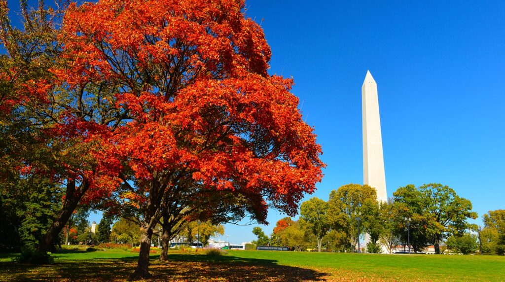 Washington-D.C