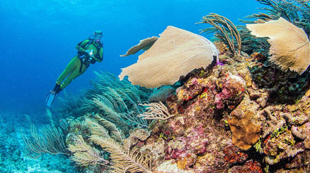 Blue-Hole, Belize[ Best Beaches in the Caribbean]