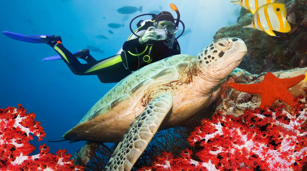 Planning Your Underwater Adventure
