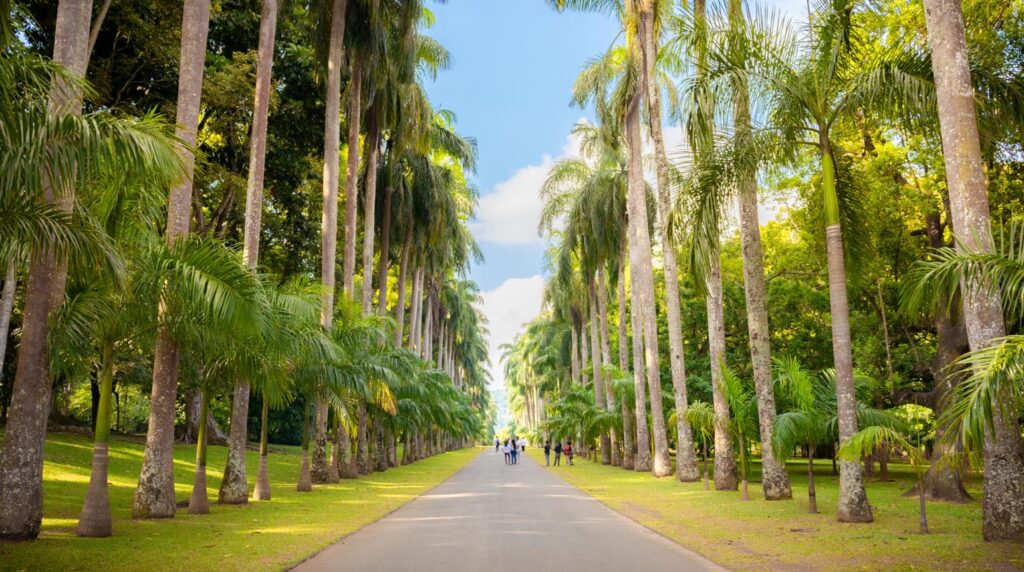 Botanical Gardens in Peradeniya