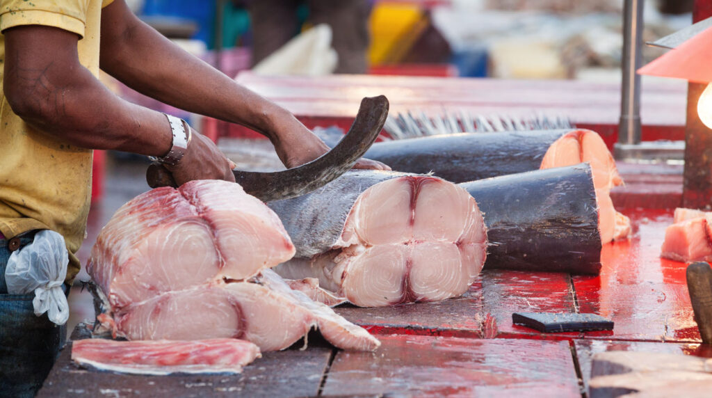 Negombo Fish Market