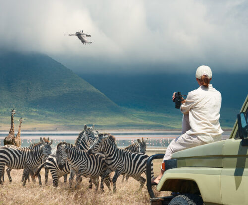 Things to Do in Tanzania