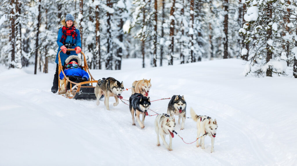 Husky Safaris